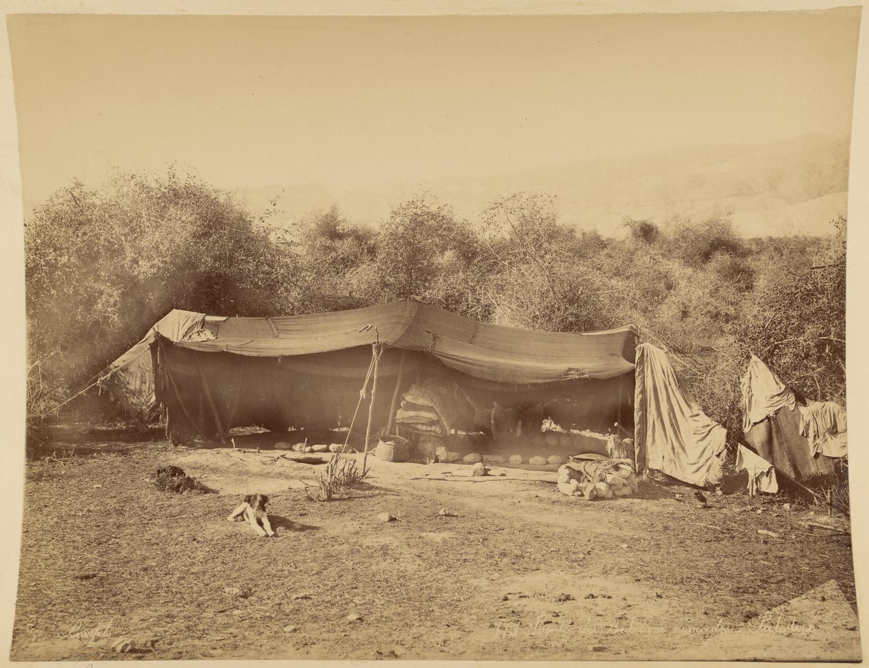 Tente de Bédouins nomades, Palestine - Félix Bonfils