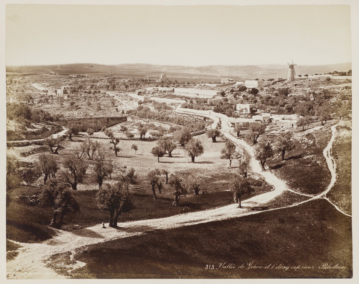 Vallée de ... Palestine #313 - Félix Bonfils