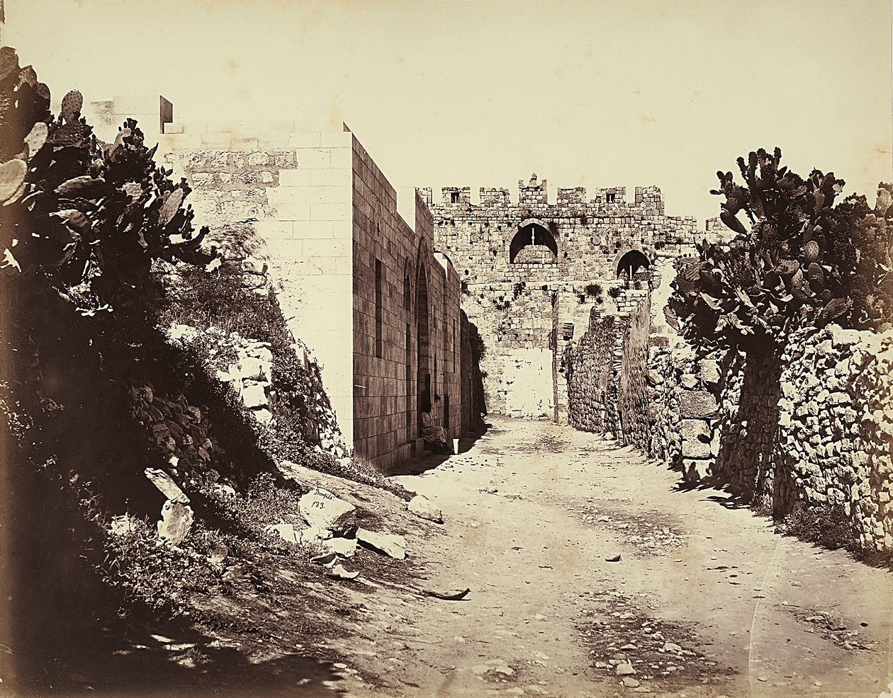 Vue d