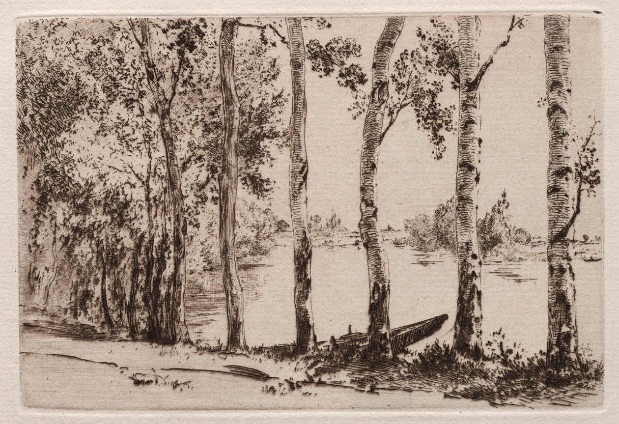 Peupliers sur la rive de la Seine - Felix Bracquemond