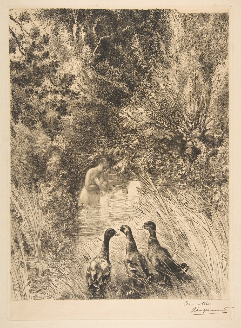 Canards surpris, 1882 - Felix Bracquemond