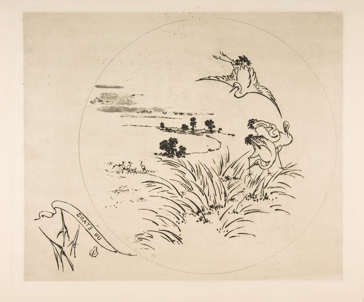 Décoration pour une assiette: Un étang - Felix Bracquemond
