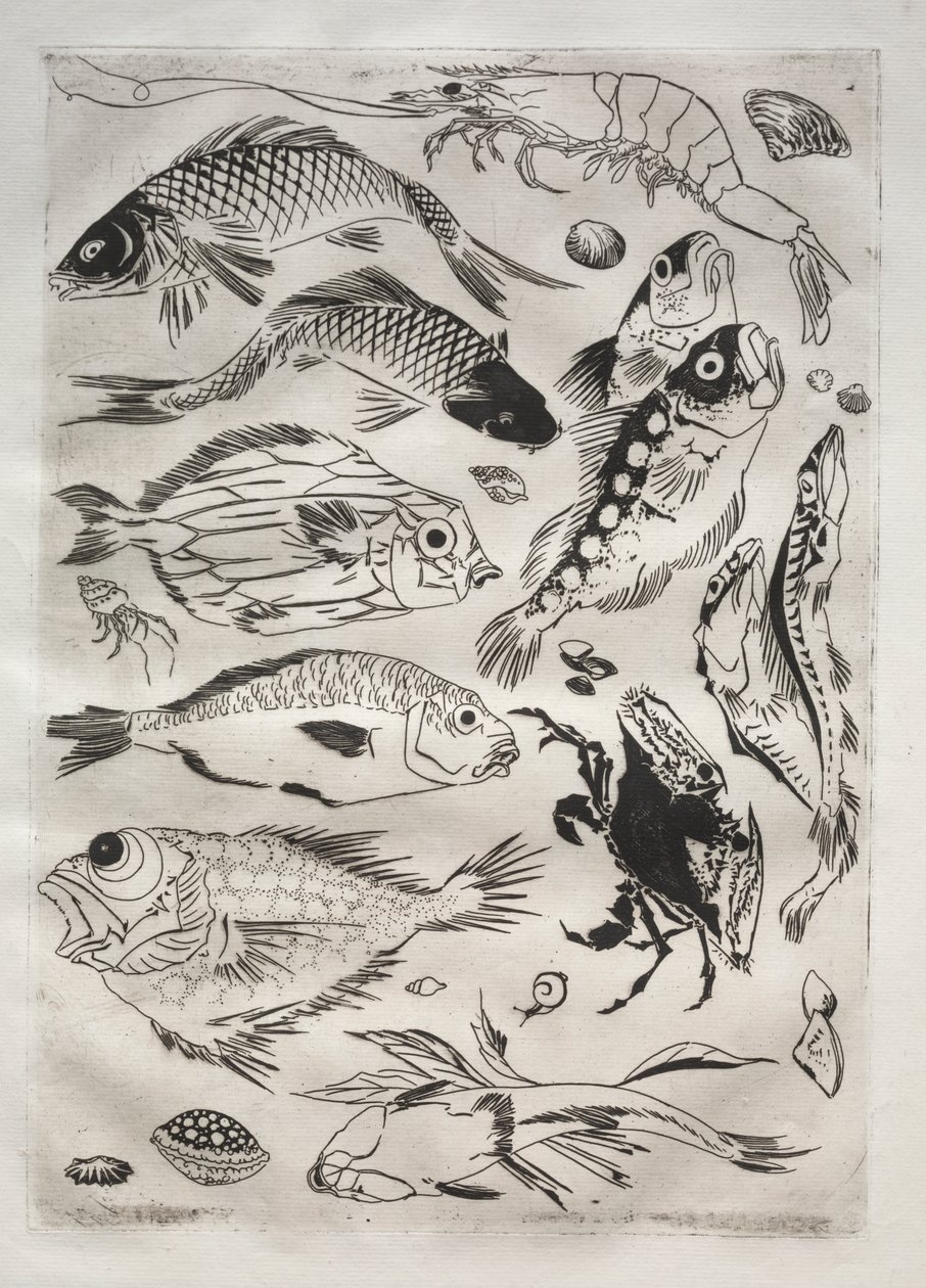 Service de table (service Rousseau) : Poissons (n° 24) - Felix Bracquemond