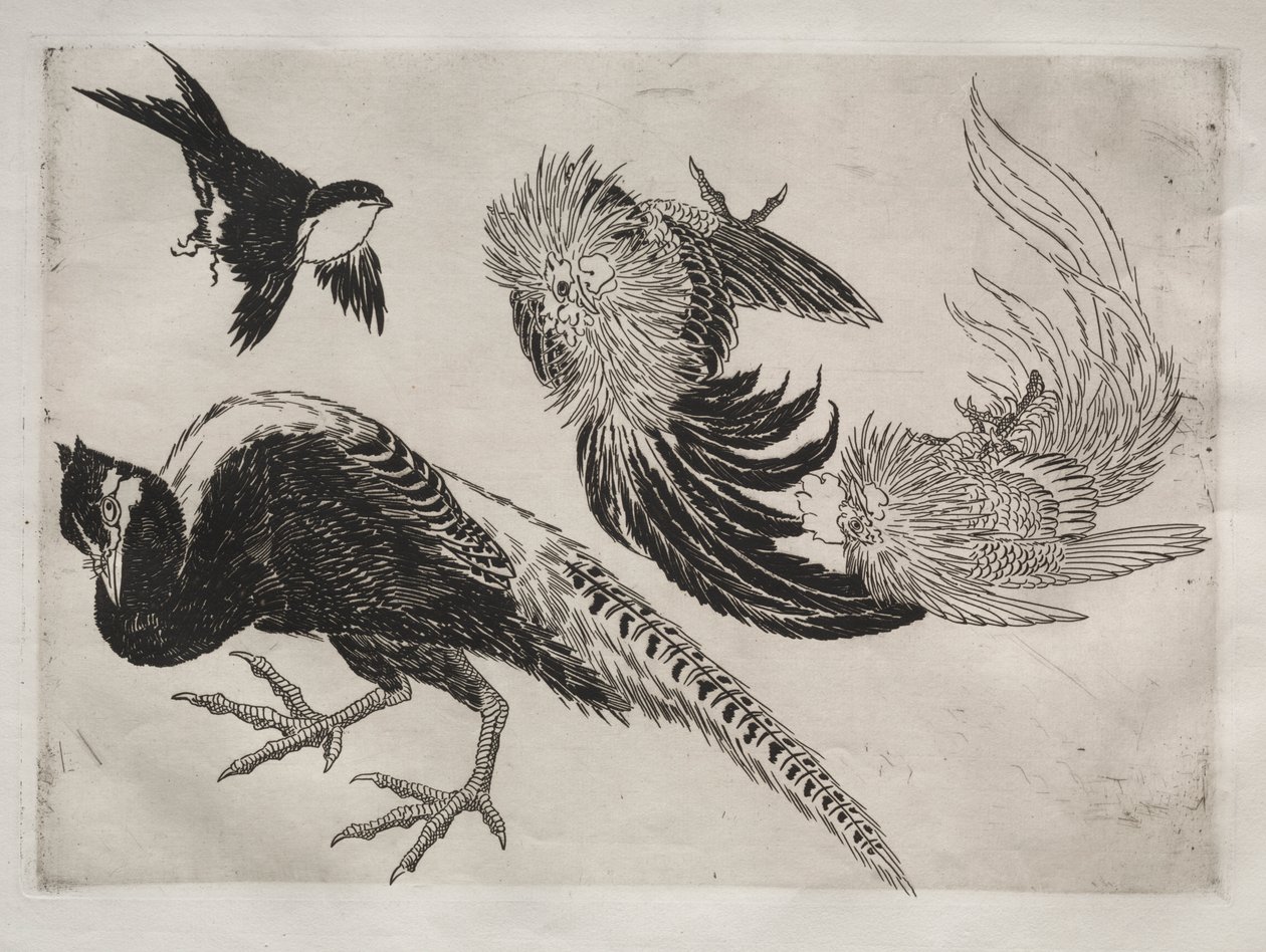 Service de table (service Rousseau) : Faisans et oiseau (n° 18) - Felix Bracquemond