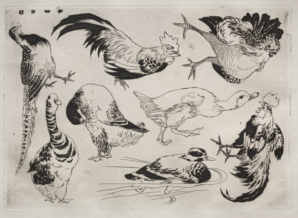 Service de table (service Rousseau) : Coqs, canards, etc. (n° 13) - Felix Bracquemond
