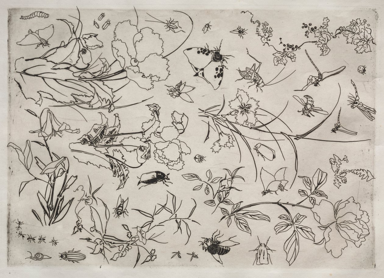 Service de table Rousseau : Fleurs et Insectes n° 15, 1866 - Felix Bracquemond