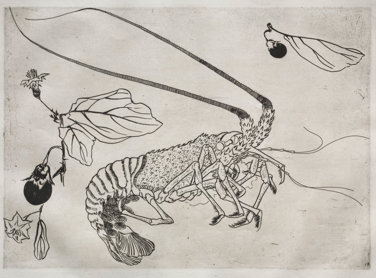 Service de table Rousseau : Grand homard avec antenne relevée n° 21, 1866 - Felix Bracquemond