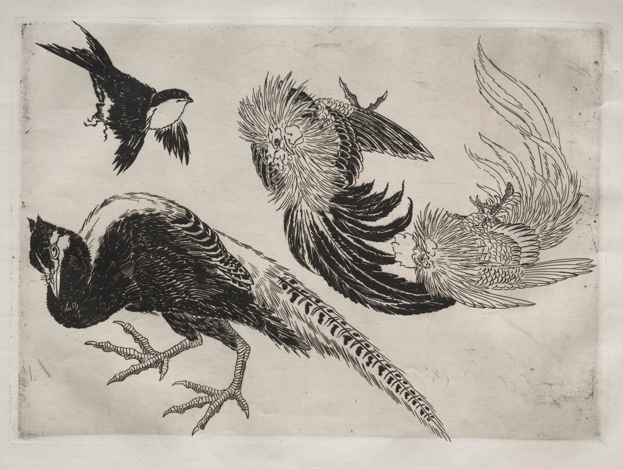 Service de table Rousseau : Faisans et oiseau n° 18, 1866 - Felix Bracquemond