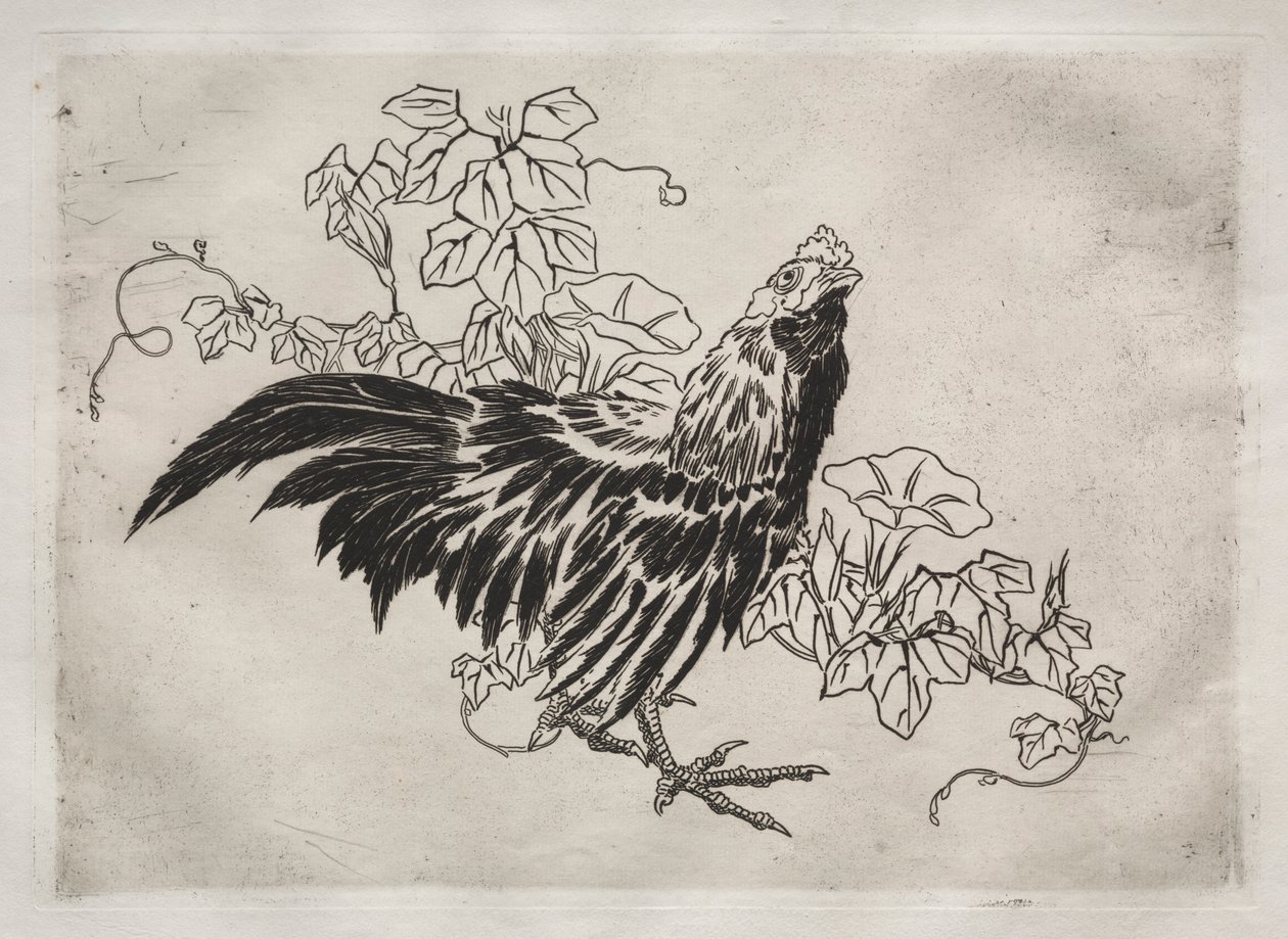 Service de table Rousseau : Coq et gloires du matin n° 25, 1866 - Felix Bracquemond