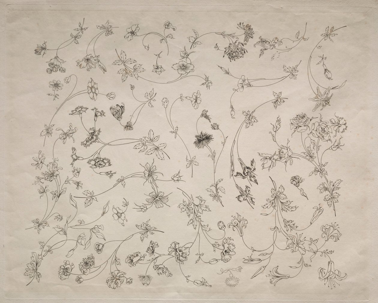 Dessins de fleurs pour assiettes et bordures n° 14, 1872 - Felix Bracquemond