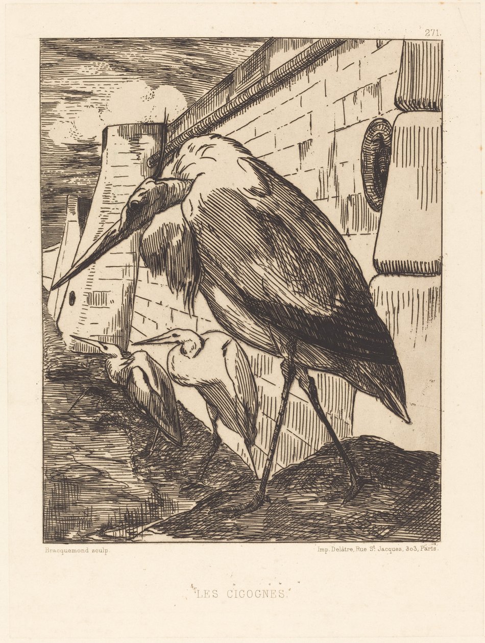Les Cigognes - Felix Bracquemond