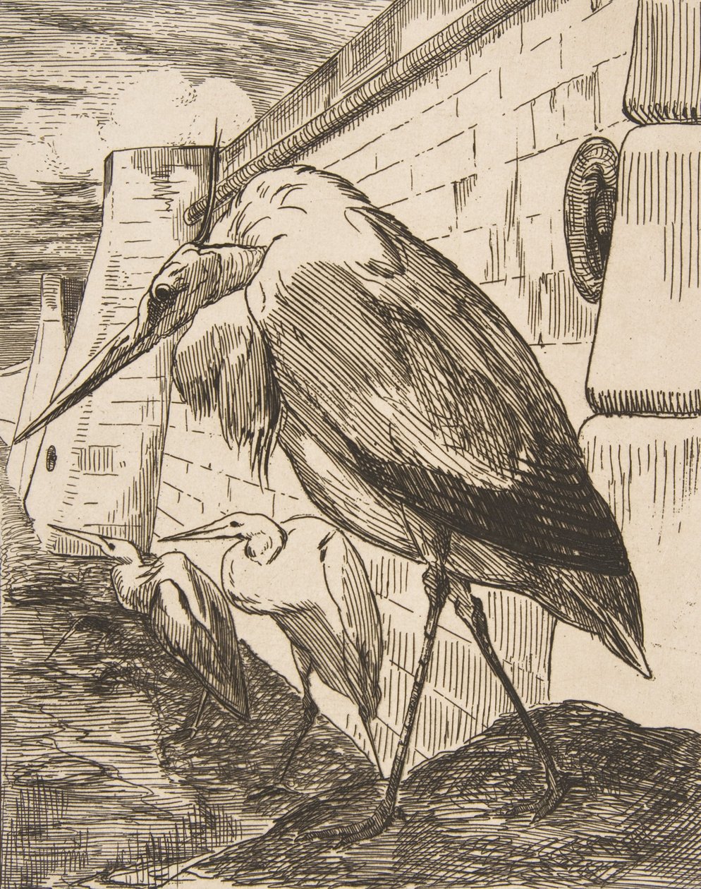 Les Cigognes - Felix Bracquemond