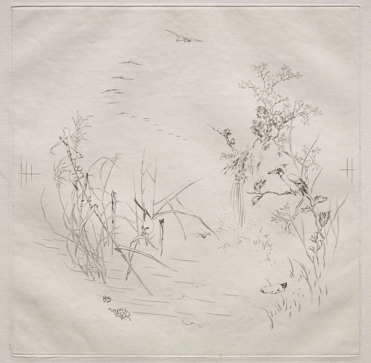Service parisien Haviland : Calme n° 3, 1875 - Felix Bracquemond