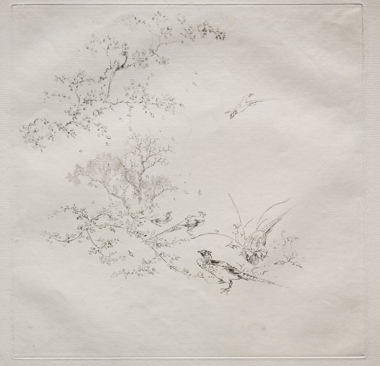 Service parisien Haviland : Brouillard no. 1 - Felix Bracquemond