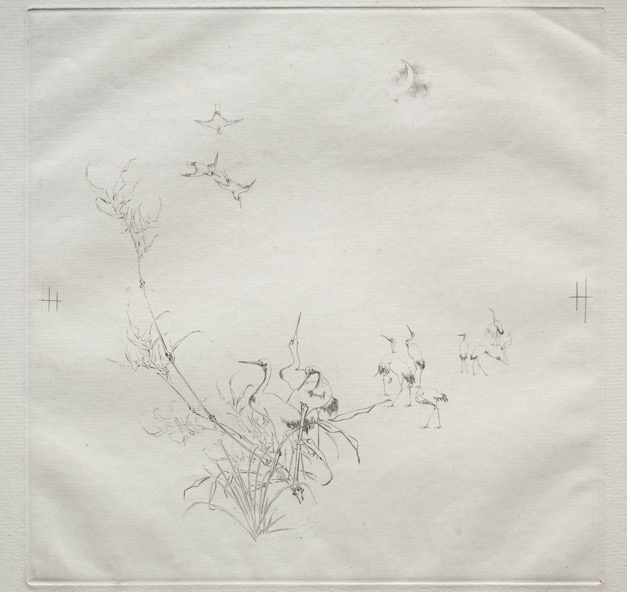 Service parisien Service Haviland : La Lune n° 5, 1875 - Felix Bracquemond