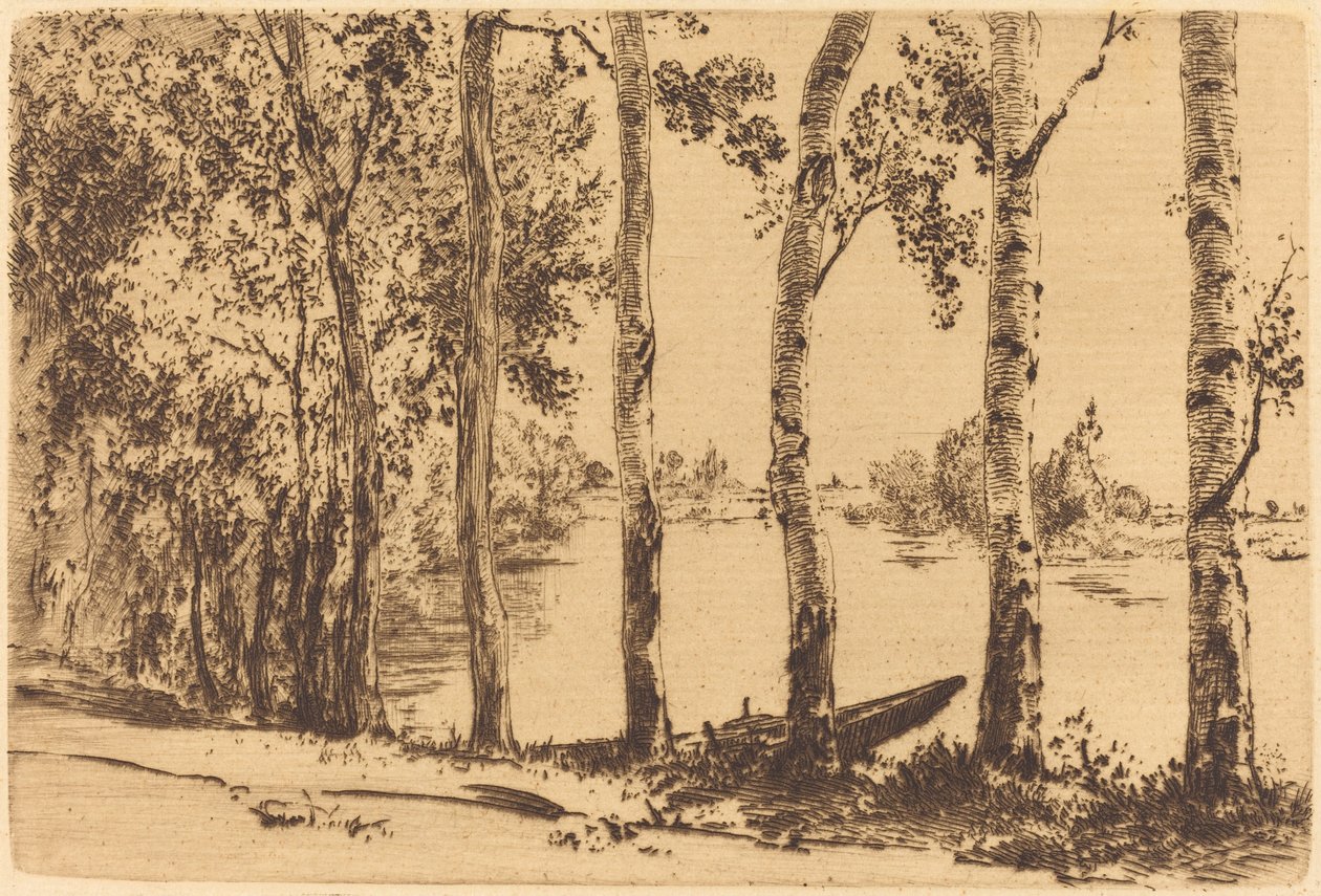 Peupliers le long de la Seine - Felix Bracquemond