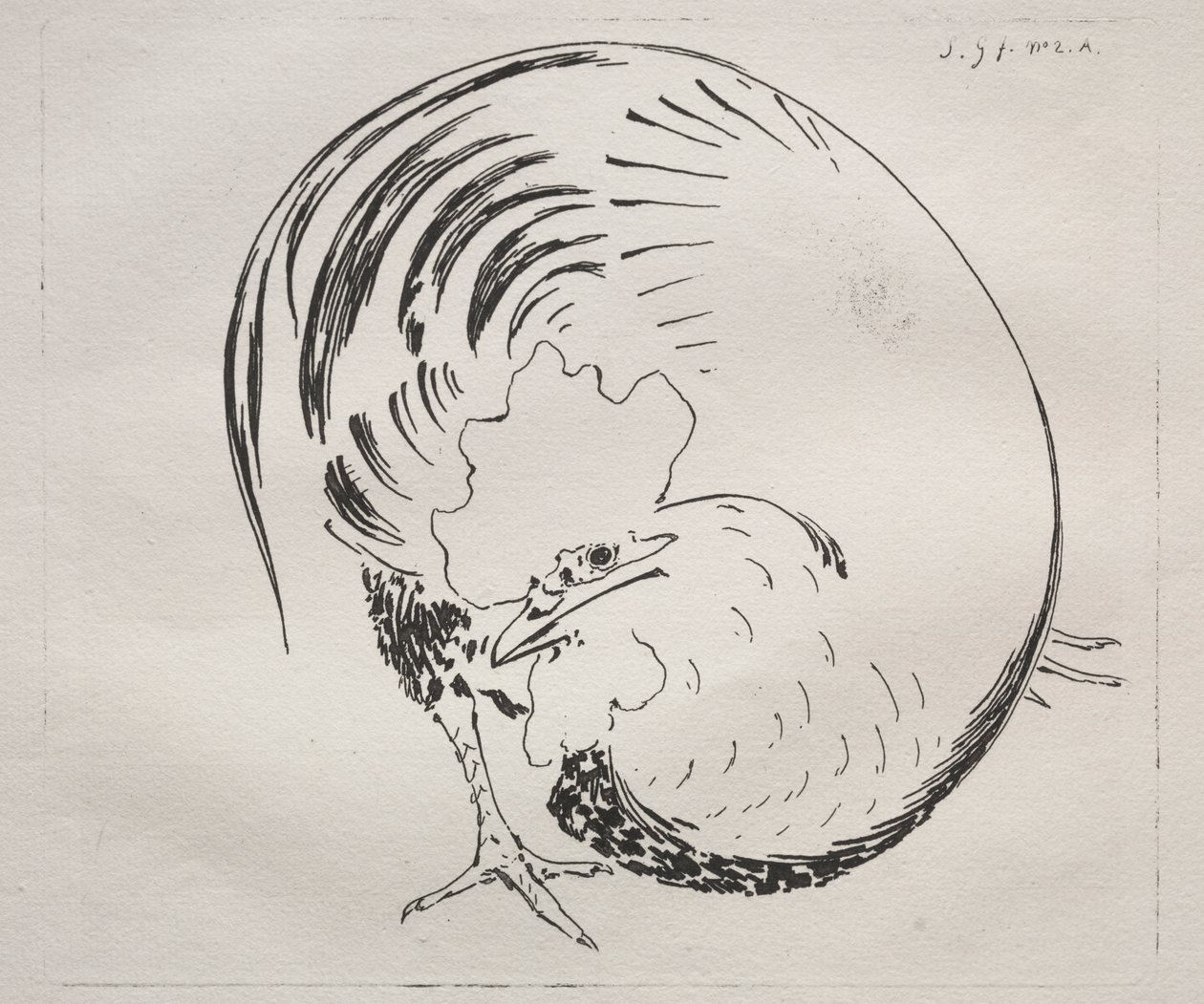 Le service à haute cuisson : Coq (contre-épreuve) - Felix Bracquemond