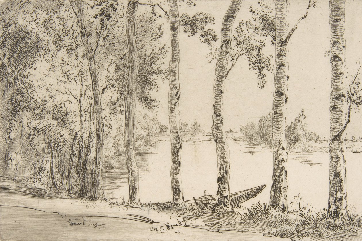 Trembles au bord de la Seine - Felix Bracquemond