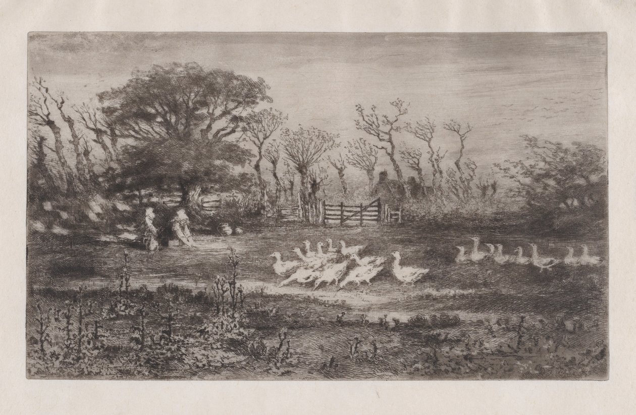 Oies, 1860-98 - Felix Hilaire Buhot
