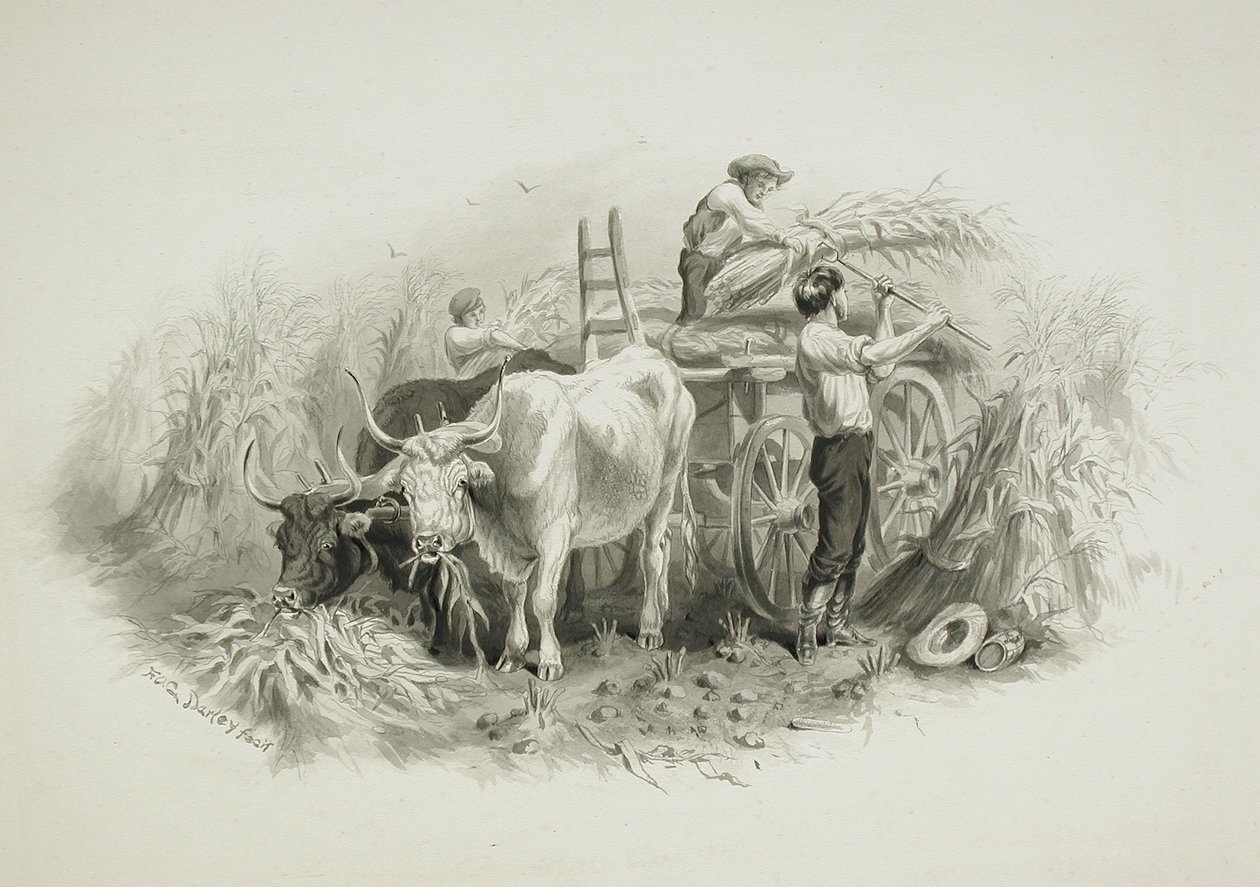 Scène de fenaison - Felix Octavius Carr Darley