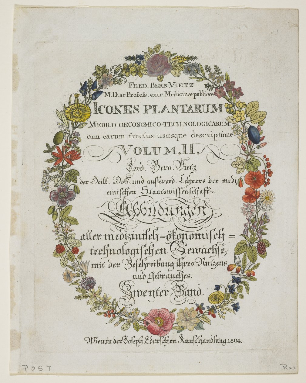 Frontispice et page de titre, Vol. II, de Icones Plantarum Medico-Oeconomico-Technologicarum cum Earum Fructus ususque Descriptione, 1804 - Ferdinand Bernhard Vietz