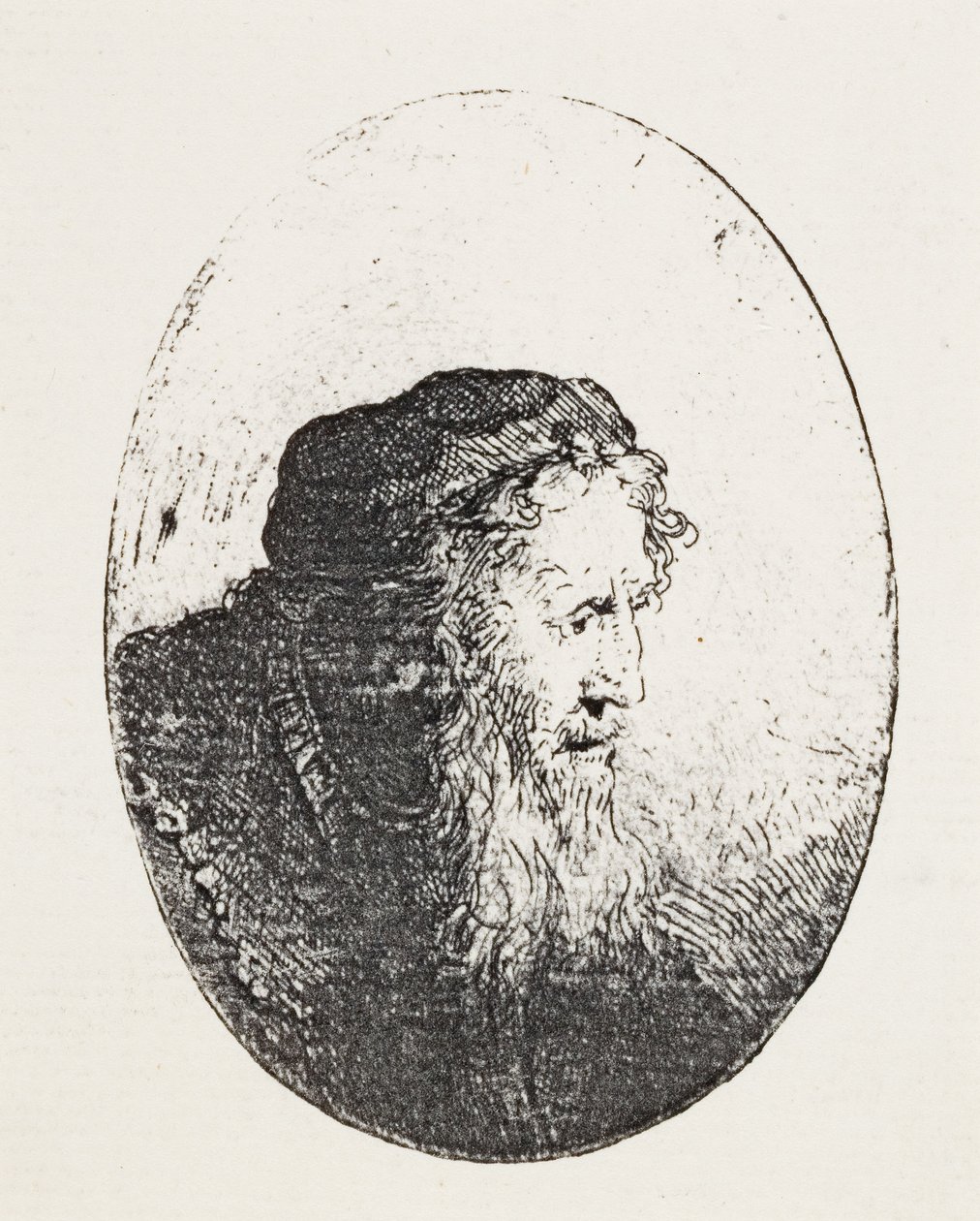 Vieil homme barbu, vers 1644-46 - Ferdinand Bol