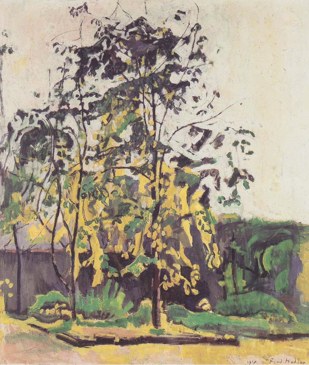 Arbres dans le jardin de l