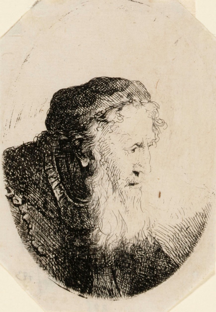 Vieil homme à la barbe flottante - Ferdinand Bol