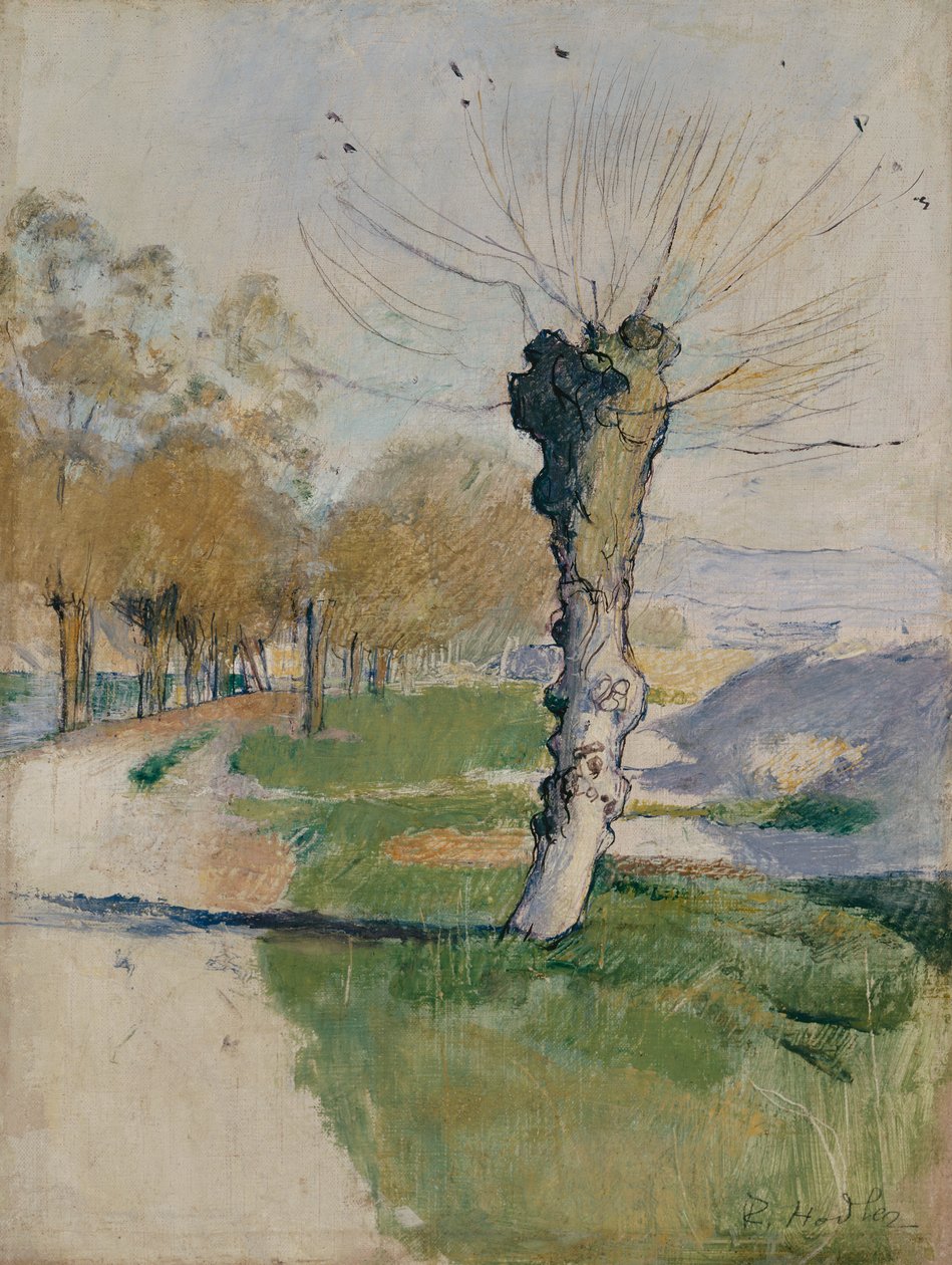 Saule à la jonction, ou Saule au printemps - Ferdinand Hodler