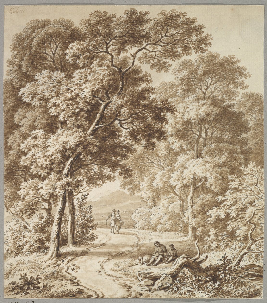 Un chemin bordé d
