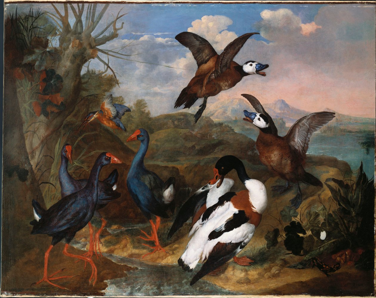 Canards Tadorne et autres Volatiles dans un Paysage, 1720 - Ferdinand Phillip de Hamilton
