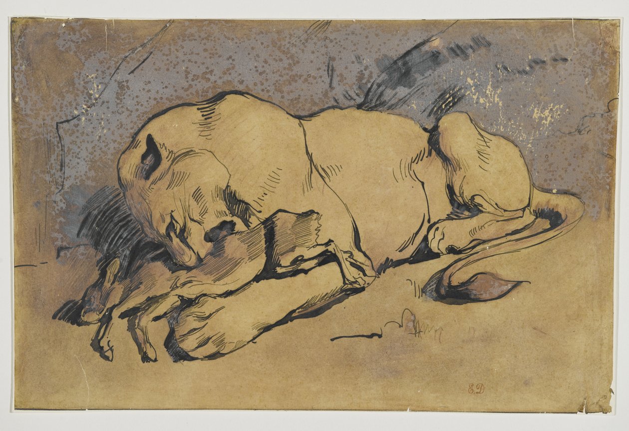Lionne dévorant un lapin - Ferdinand Victor Eugene Delacroix