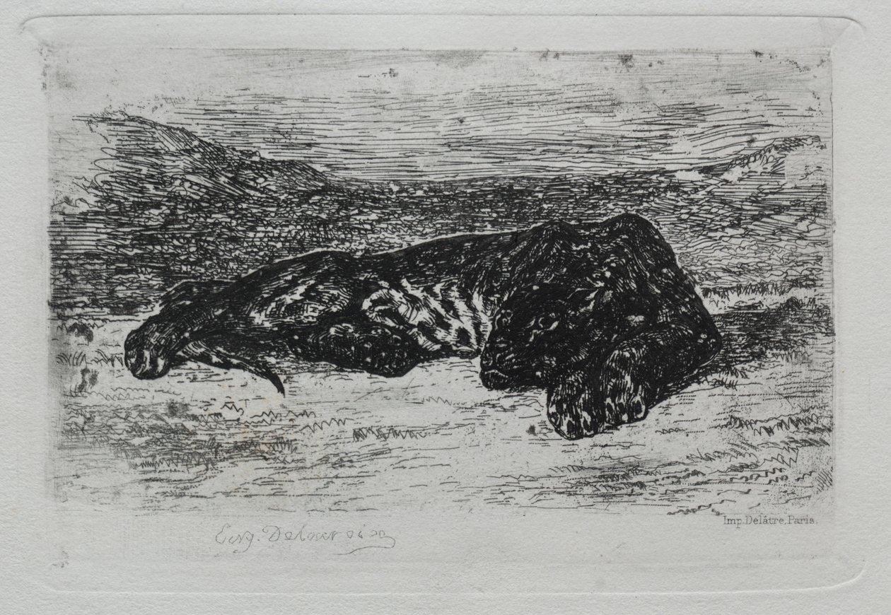 Tigre couché dans le désert - Ferdinand Victor Eugene Delacroix