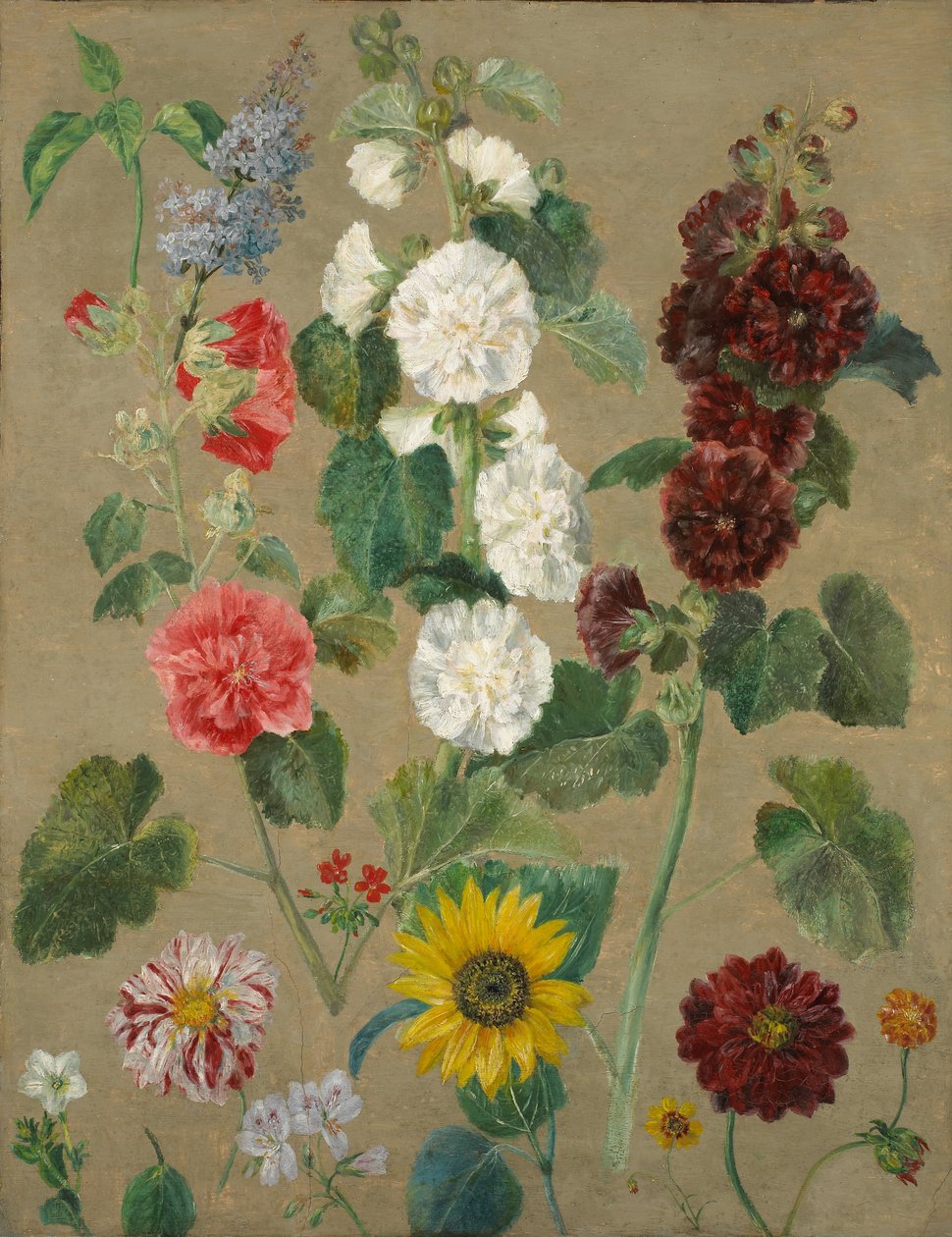 Sans titre (Fleurs) - Ferdinand Victor Eugene Delacroix