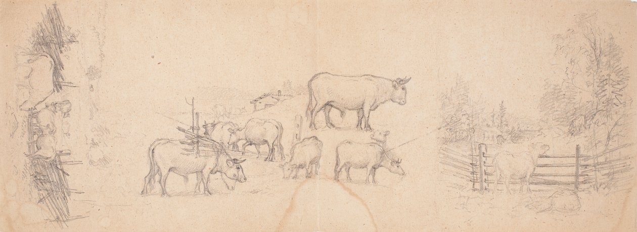 Diverses esquisses de vaches et de taureaux - Ferdinand von Wright