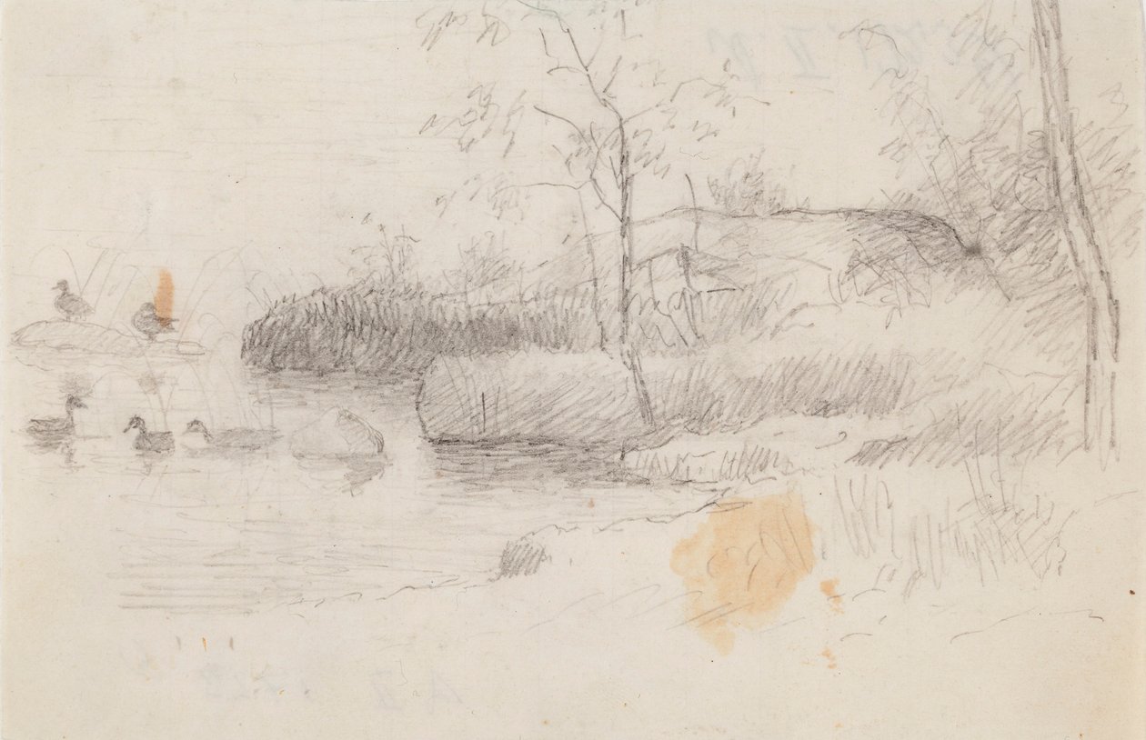 Paysage avec canards - Ferdinand von Wright