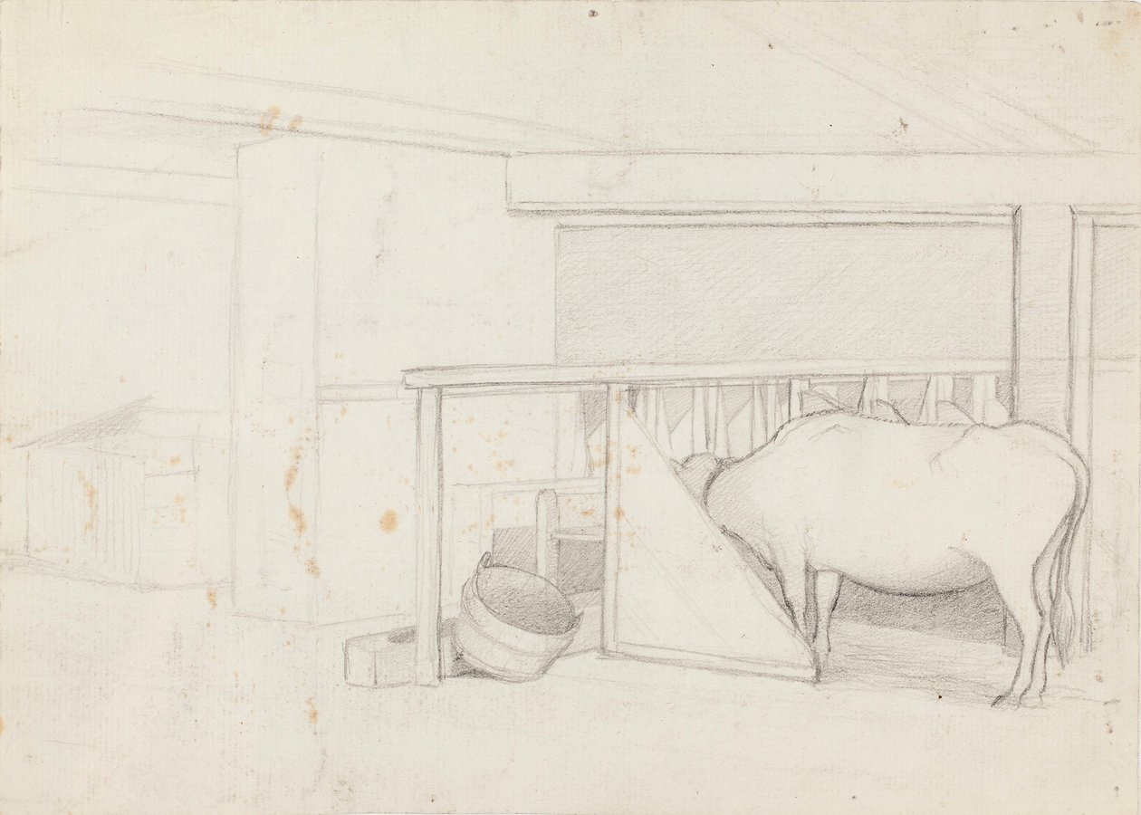 Un veau dans un arbre fendu - Ferdinand von Wright