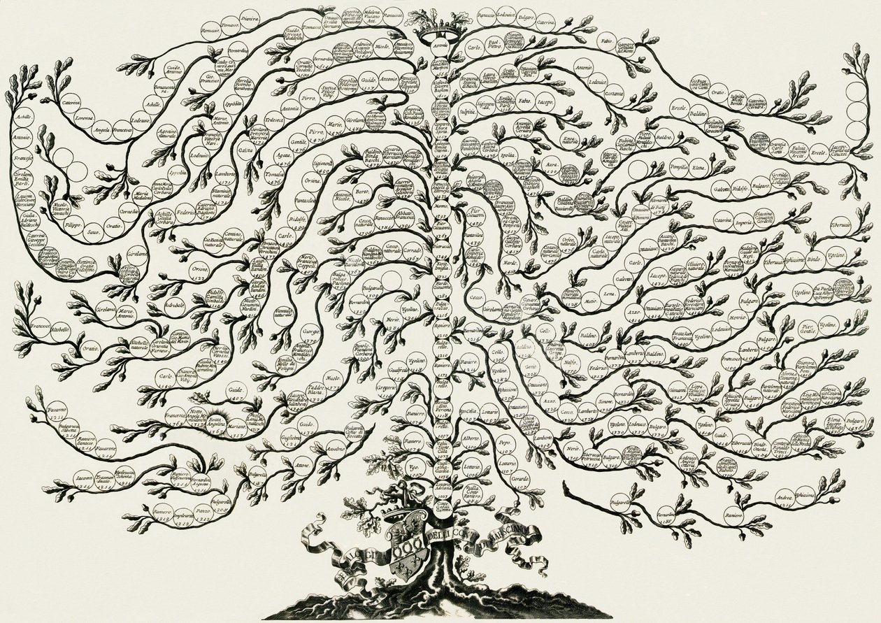 Arbre généalogique marsciano ughelli - Ferdinando Ughelli