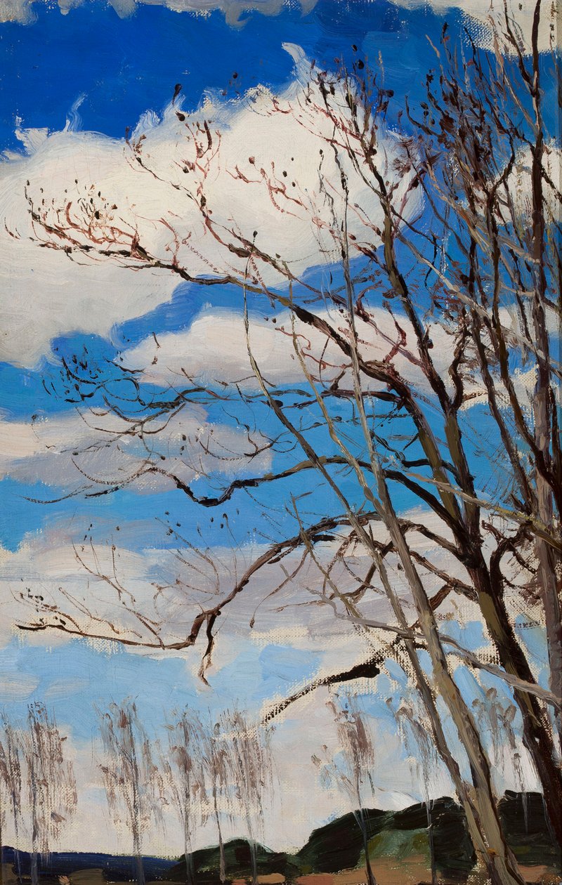 Des arbres sur fond de ciel - Ferdynand Ruszczyc