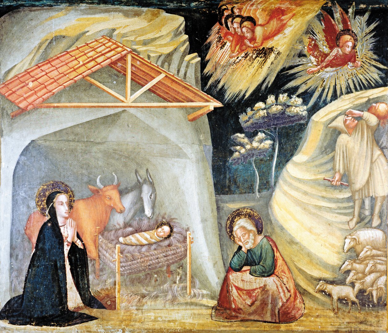  - Ferrer Bassa