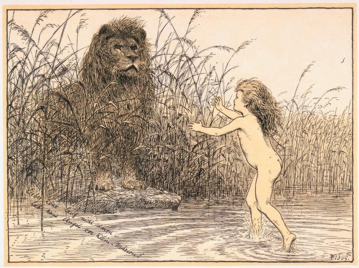 Cher lion ne t