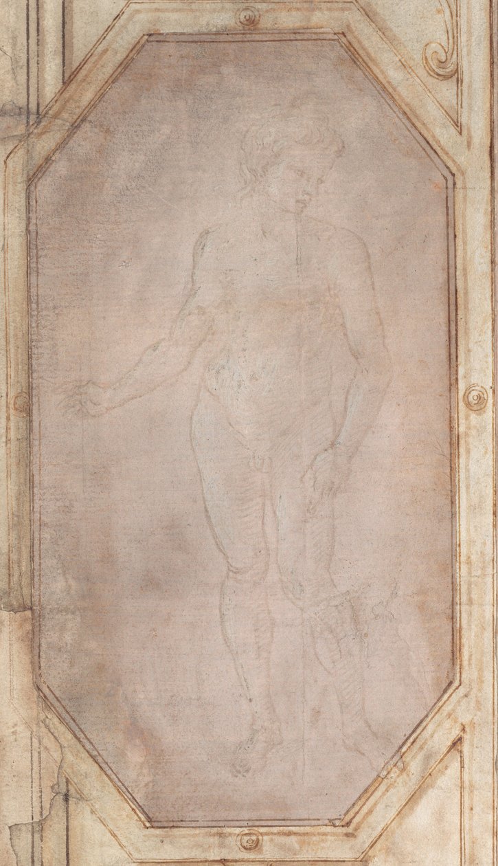 Jeune homme nu debout - Filippino Lippi