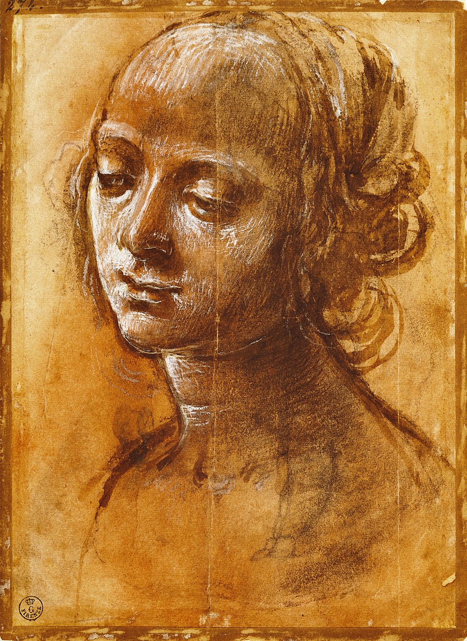 Figure féminine, par Filippino Lippi - Filippino Lippi