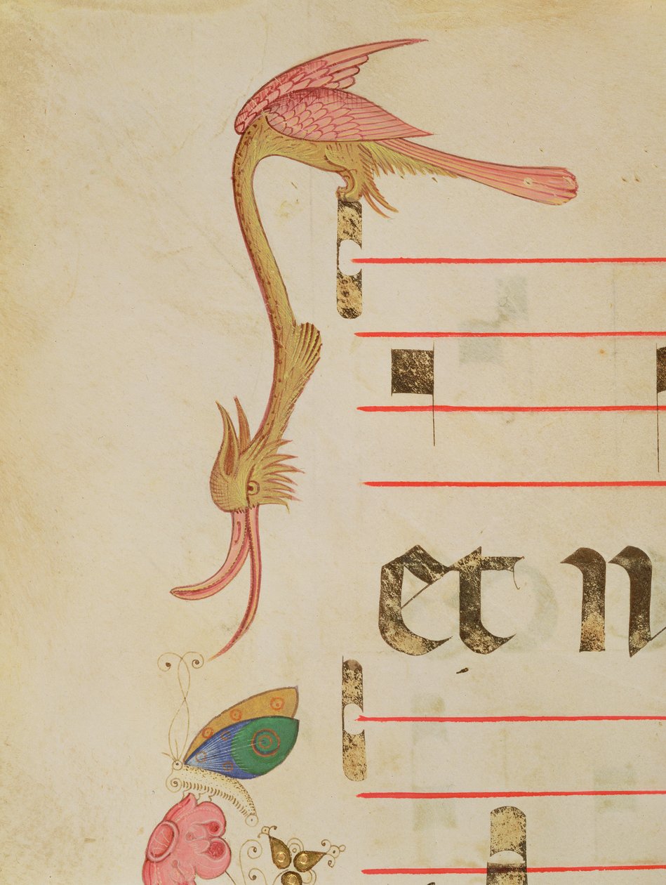 Missel 515 f.9r Oiseau Fantastique chassant un Papillon, (détail) - Filippo di Matteo Torelli
