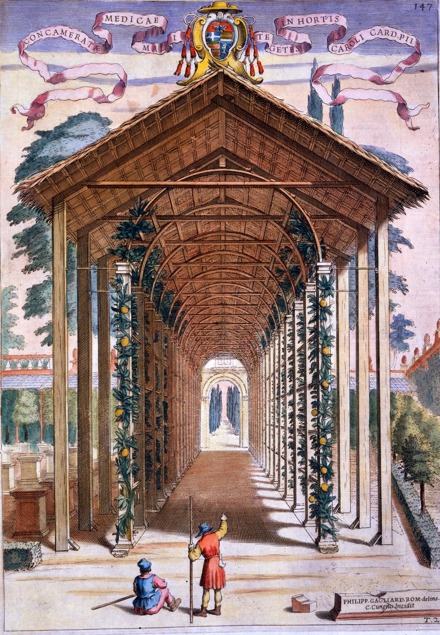 Une allée couverte de treillis, de 