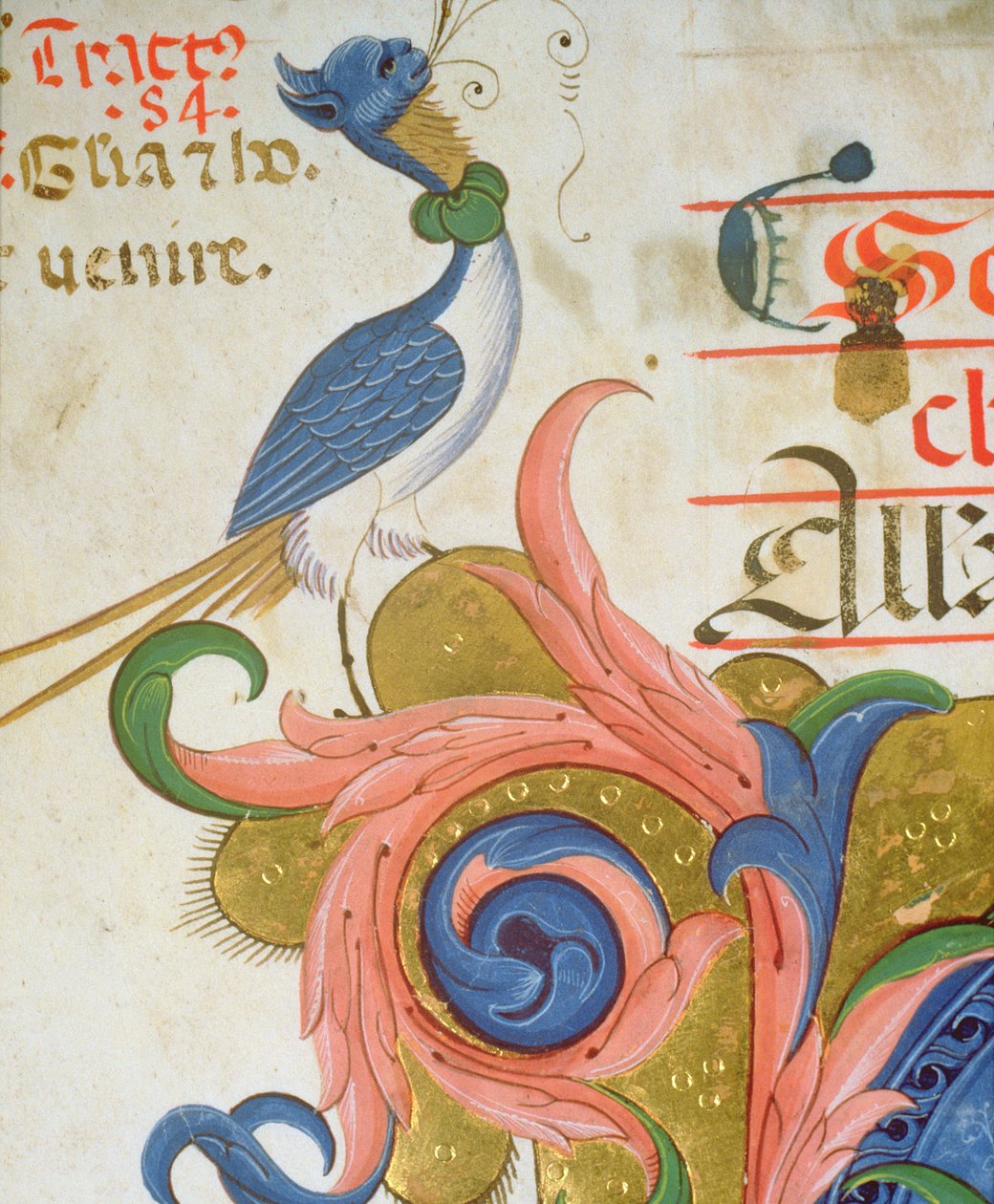 Missel 515 f.28v Oiseau fantastique avec tête humaine (détail d