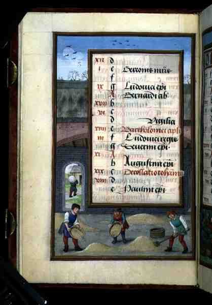 Ms 1058-1975 f8v Vannage du maïs dans une grange, page de calendrier illuminée pour août, d