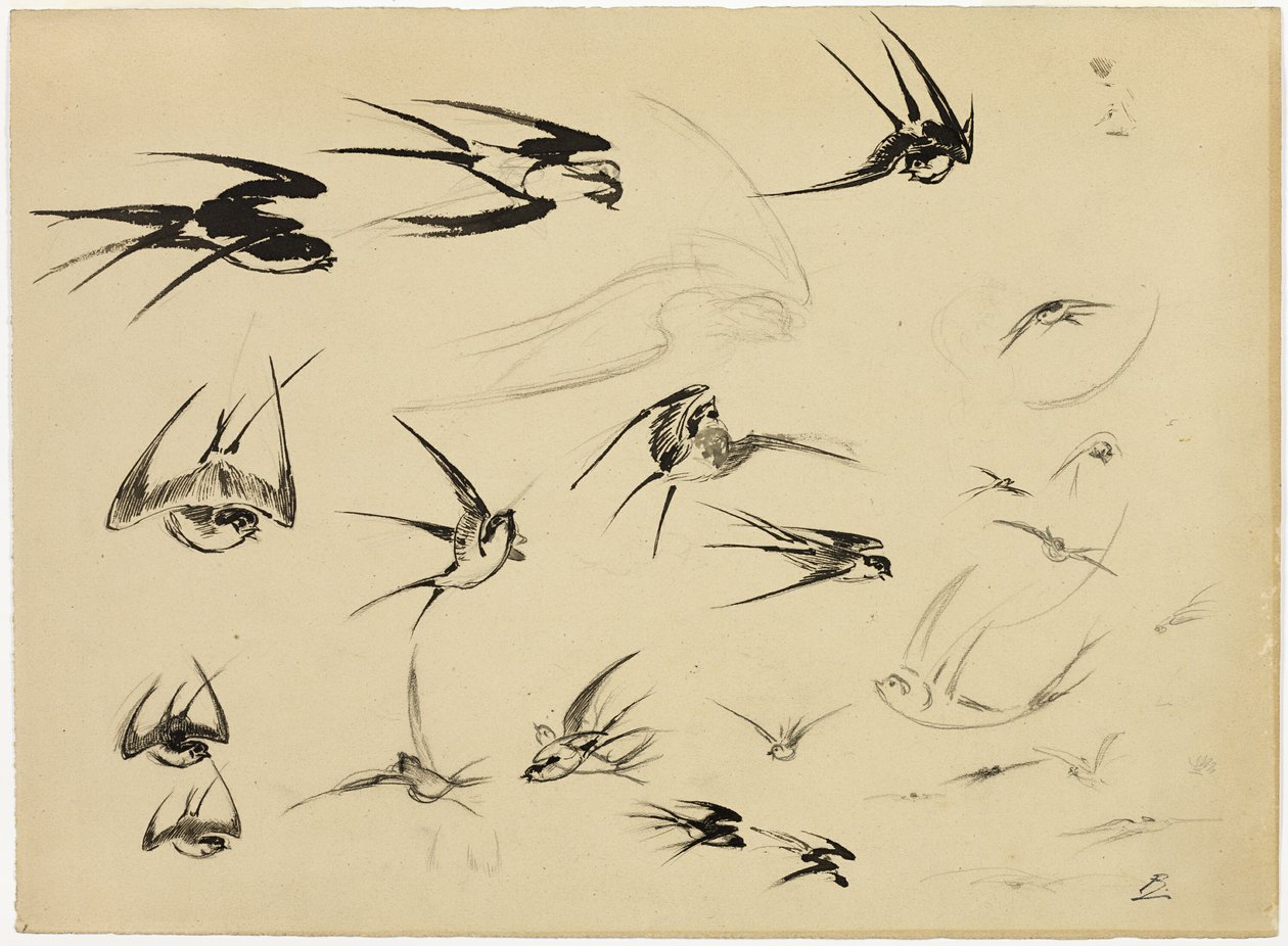 Les hirondelles - Félix Henri Bracquemond