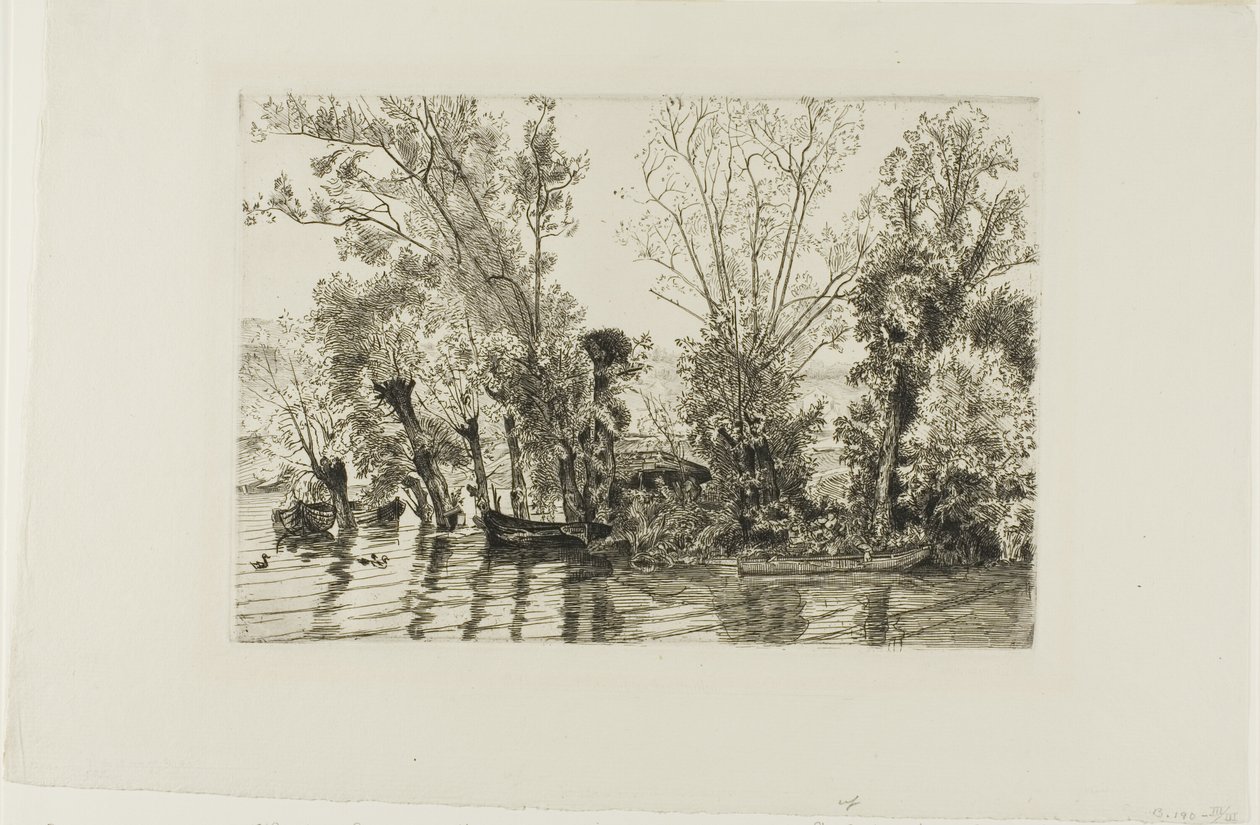 Les saules de Mottiaux - Félix Henri Bracquemond