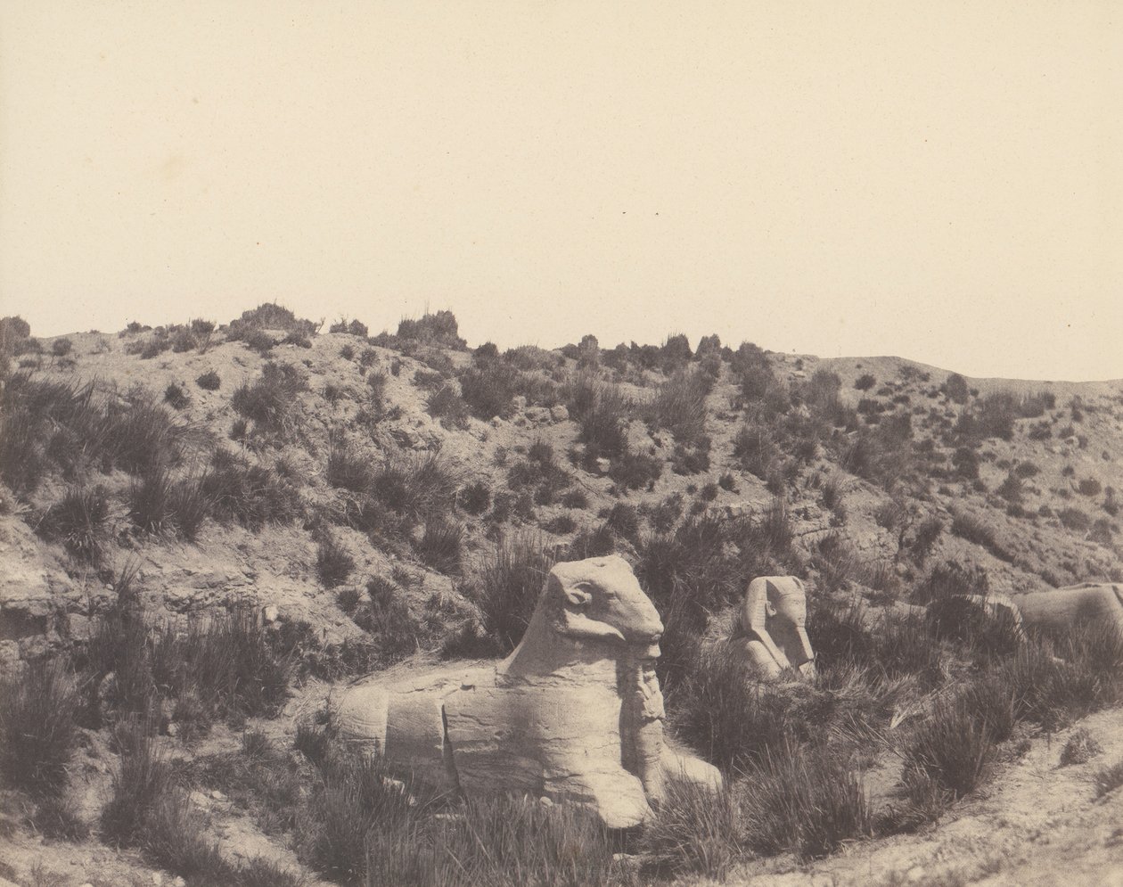 Karnak Thèbes, Sphinx à tête humaine et à tête de bélier, en Y, 1851-52, imprimé 1853-54 - Félix Teynard